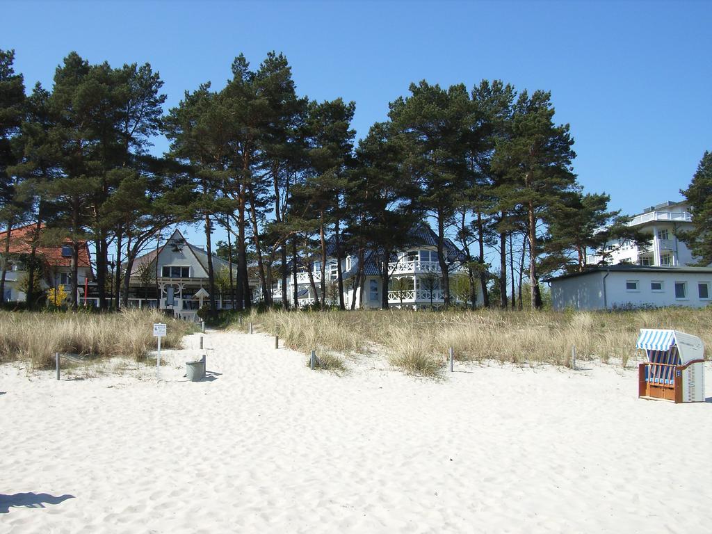 Strandläufer Im Haus Strelasund *